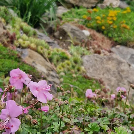 Relax Pod Javorem Apartamento *